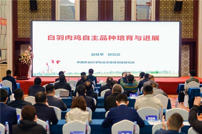 益客集团20年庆祝活动隆重举行(图12)