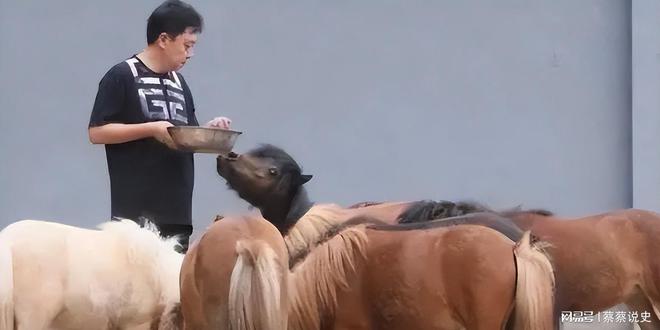 成“老赖”不到48小时于谦被扒底朝天杨议