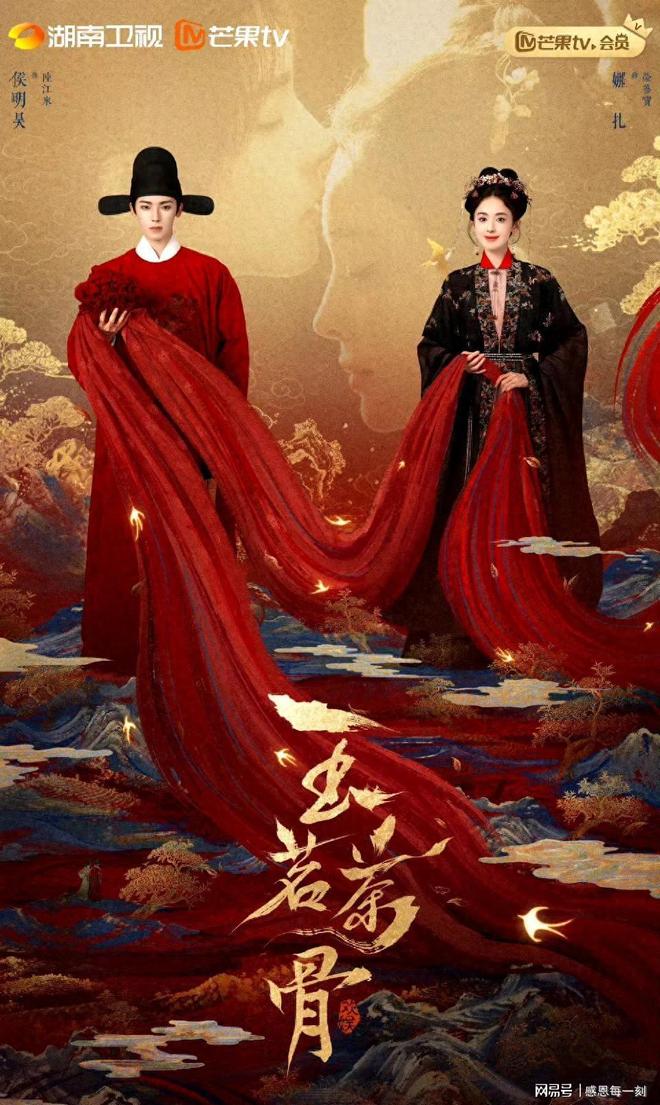 12月29日湖南卫视开播!又一部好剧来袭!演员阵容正合我意