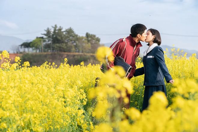 2025年我的十佳剧集推荐(图2)
