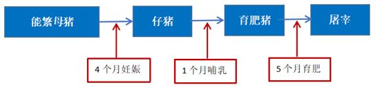 豆粕:2026年需求怎么看